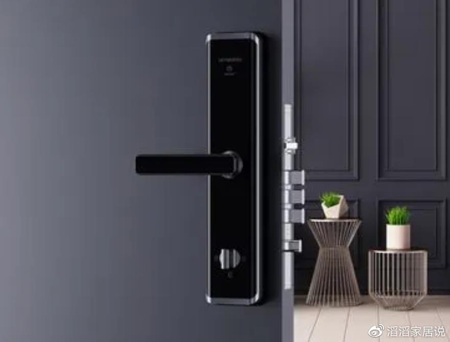 防盗门锁具十大品牌(十大顶级入户防盗门品牌推荐,选对门守护家的安全感) 防盗门锁具十大品牌(十大顶级入户防盗门品牌推荐,选对门守护家的安全感)