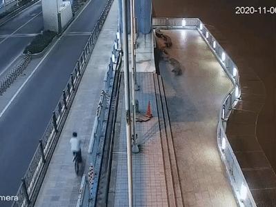 二手木地板(别再白扔了！杭州精装房拆下的护栏，有人偷偷回收赚钱)