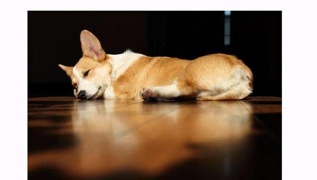 大公司装修靠谱吗(装修公司的材料靠谱吗？这是最好的回答)