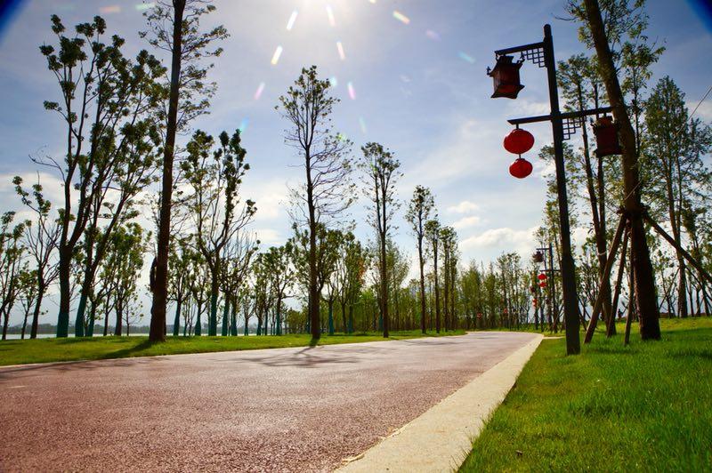 2010室内设计效果图(3对城市夫妻改造老房子：室内建吊桥、木屋，像住进园林)
