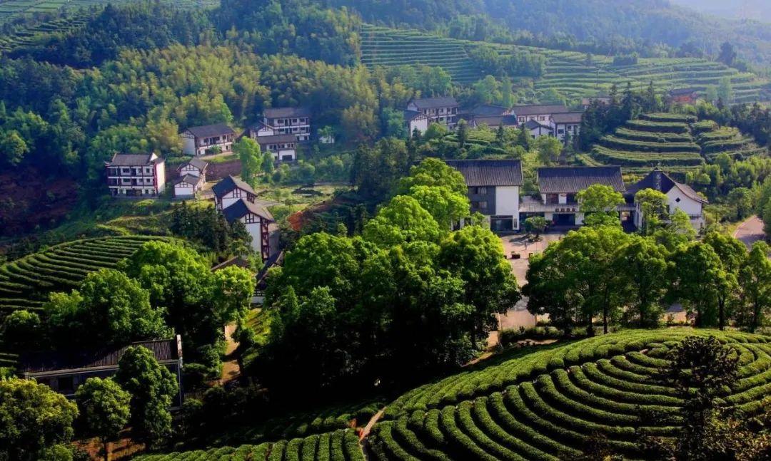 包间效果图(2000㎡！星空包房！品夏日舌尖盛宴，就来二环内最大“微风露台”→)