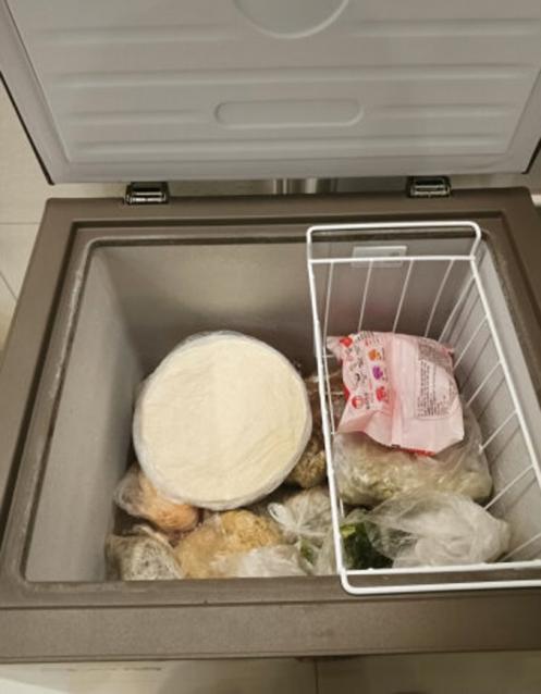 冰柜一天用多少电(“冰柜”到底值不值得投入？我用了六个月，来谈一谈真实的感受)