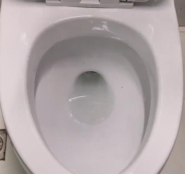 抽水马桶堵了(疏通马桶的窍门)