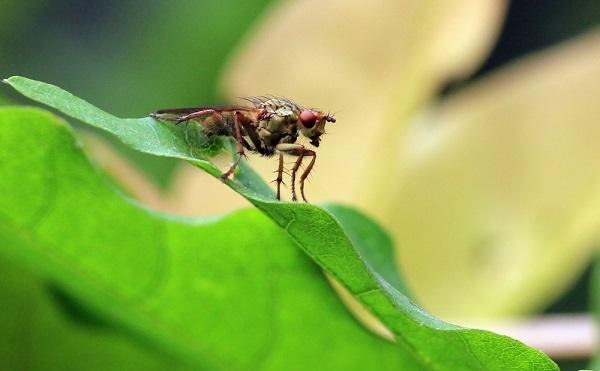 厨房装修设计效果图(再次装修厨房,坚持了5个“先进设计”!看似不起眼,实则很实用) 厨房装修设计效果图(再次装修厨房,坚持了5个“先进设计”!看似不起眼,实则很实用)