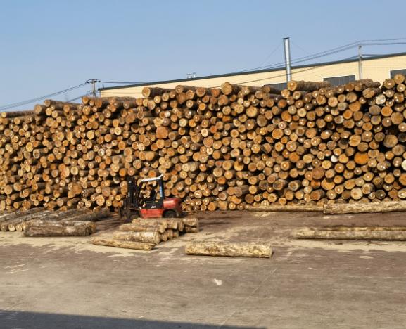 防腐木多少钱一平方(武汉防腐木一般多少钱?) 防腐木多少钱一平方(武汉防腐木一般多少钱?)